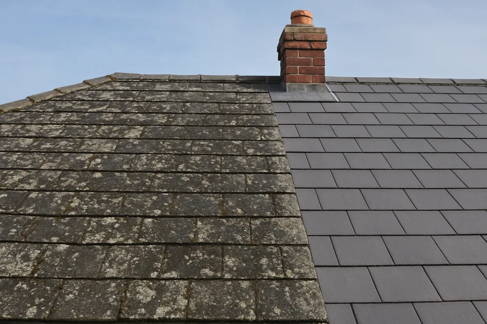 Lichen and moss streaking a slate slope below a chimney beside a run of clean slates — slate roofing, Sydney. Illustrative example.